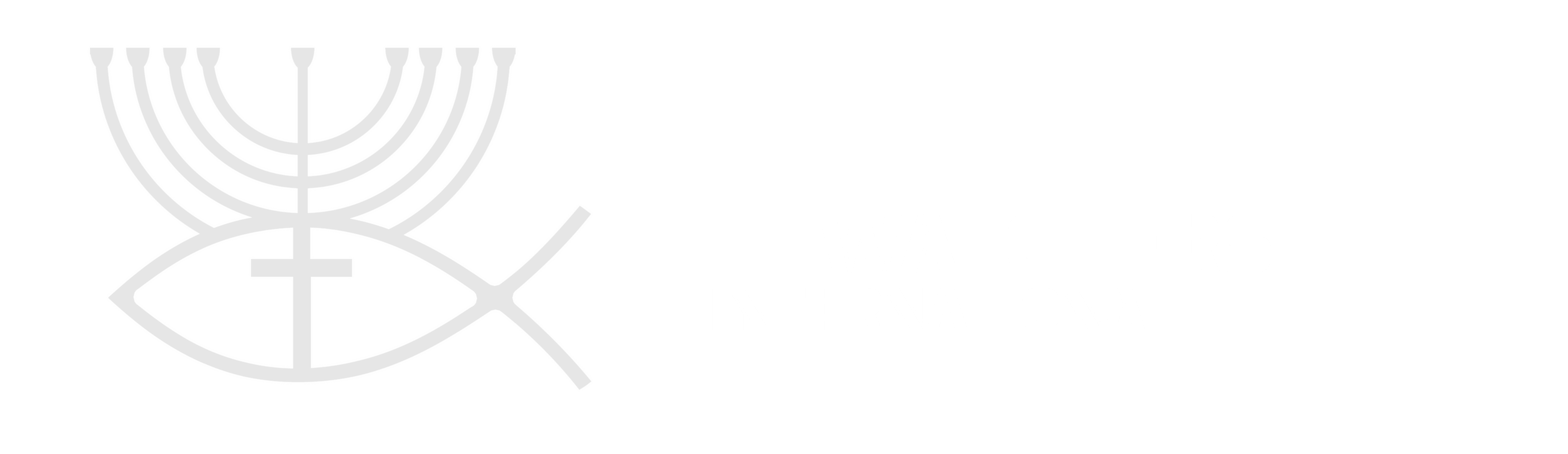 Behold Israel Logo